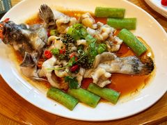 鲜花椒蒸龙趸鱼-德胜轩正宗顺德菜(宝安沙井会展中心店)