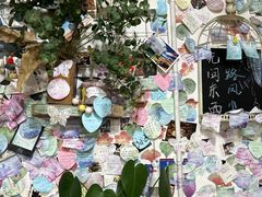 -冷峰马家鸡蛋牛奶醪糟(八朗学五巷店)