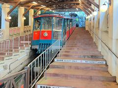 -神户市立六甲山牧场