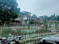 -玫瑰庄园·自助烧烤·烤全羊·团建拓展(龙泉山店)