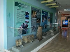 -延庆地质公园博物馆