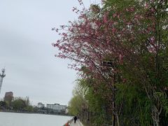 -南通濠河风景名胜区