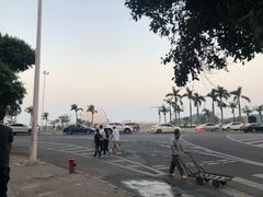 -野狸岛