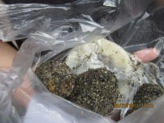 -叶氏麻糍(鼓浪屿店)