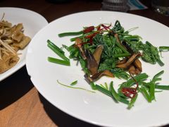 山茶油丝瓜尖-清水亭湖北菜(大屯DT51店)