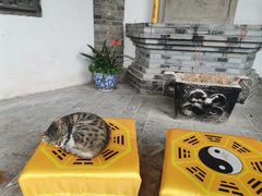 -长春观