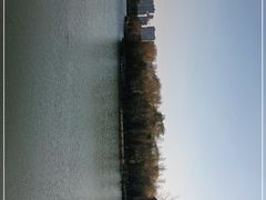 -昆山城市生态森林公园