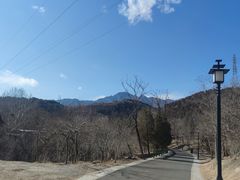 -白水寺森林公园