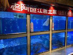 -老阿爸鲜鱼土菜(昆山花桥店)
