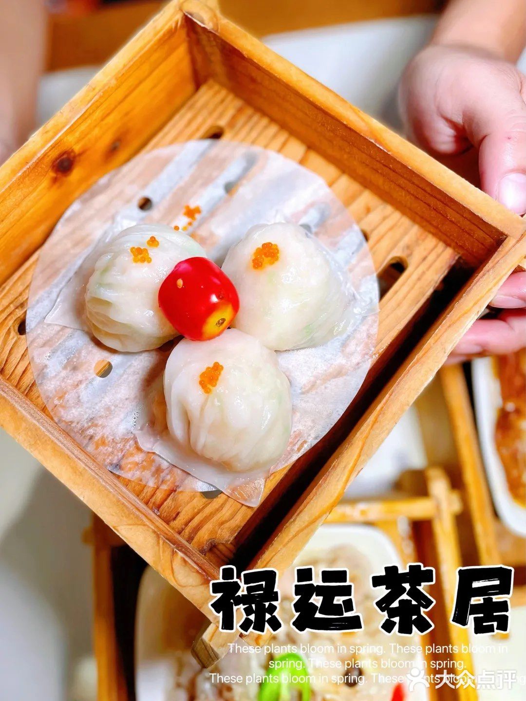 人气排队王｜老广最爱的禄运茶居