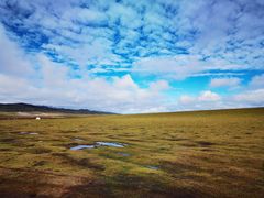 -祁连山草原