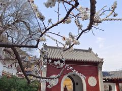 -千佛山风景名胜区
