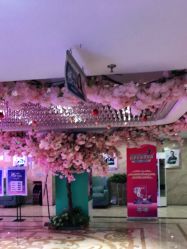 -重庆军美医疗美容医院