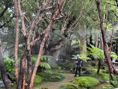 -Chom Cafe and Restaurant