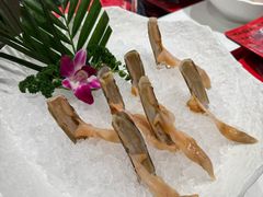 -纯味斑鱼府(中海环宇荟店)