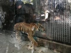 -南昌动物园