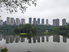 -重庆彩云湖湿地公园