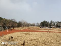 -北京西山国家森林公园