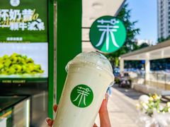 -茉酸奶(春熙路店)