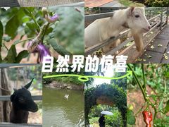 -厦门悦华酒店
