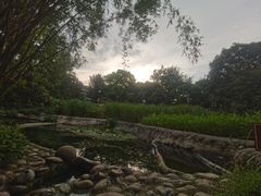 -成都市活水公园