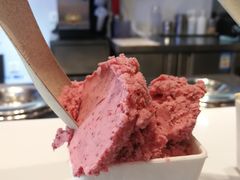 -野人牧坊Gelato(天津南开大悦城店)
