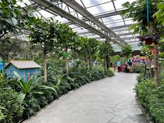 -南宫五洲植物乐园