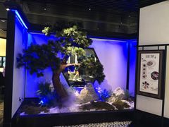 -绿茶餐厅(成都大悦城店)