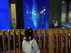 -大连圣亚海洋世界