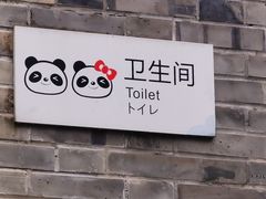 -都江堰中华大熊猫苑