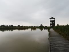 -盐城丹顶鹤湿地生态旅游区