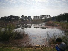 景点-滆湖低碳生态公园