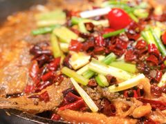 老板恋上鱼-老板恋上鱼(振华商厦店)