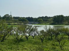 -上海海湾国家森林公园