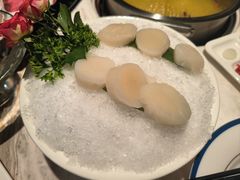 -汤城·料青山