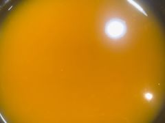 -真利味·脊骨火锅·正宗韩国料理(韩乐坊店)