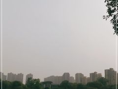-青枫公园