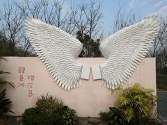 -福建鲤鱼洲酒店