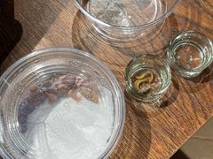 -酷以爬仙阁实体爬宠店·守宫·蜥蜴·专业繁育