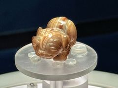 -广西壮族自治区博物馆