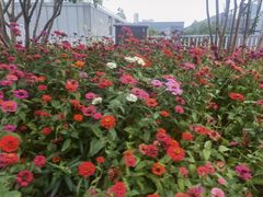 -武汉园博园(武汉自然博物馆)