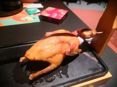 -羽鸽集·乳鸽专门店·地道顺德菜(岭南站店)