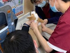 -美联众合动物医院·24h京西诊疗中心