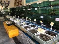 水产区-海岛渔村大酒店(云霄路店)