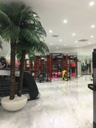 -葆姿普拉提·瑜伽