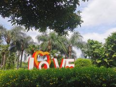 -东风公园