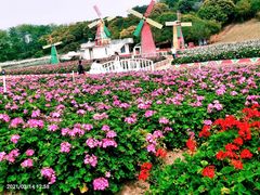 -松山湖梦幻百花洲