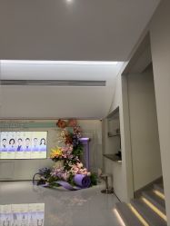 -美莱医疗美容医院