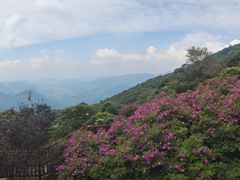 -广州市石门国家森林公园