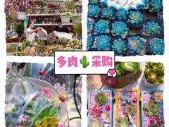 -秦美花卉(天朗·莱茵小城2期店)